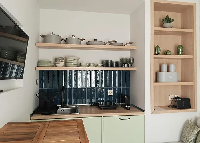 Nest In The To Mgmt * Volos